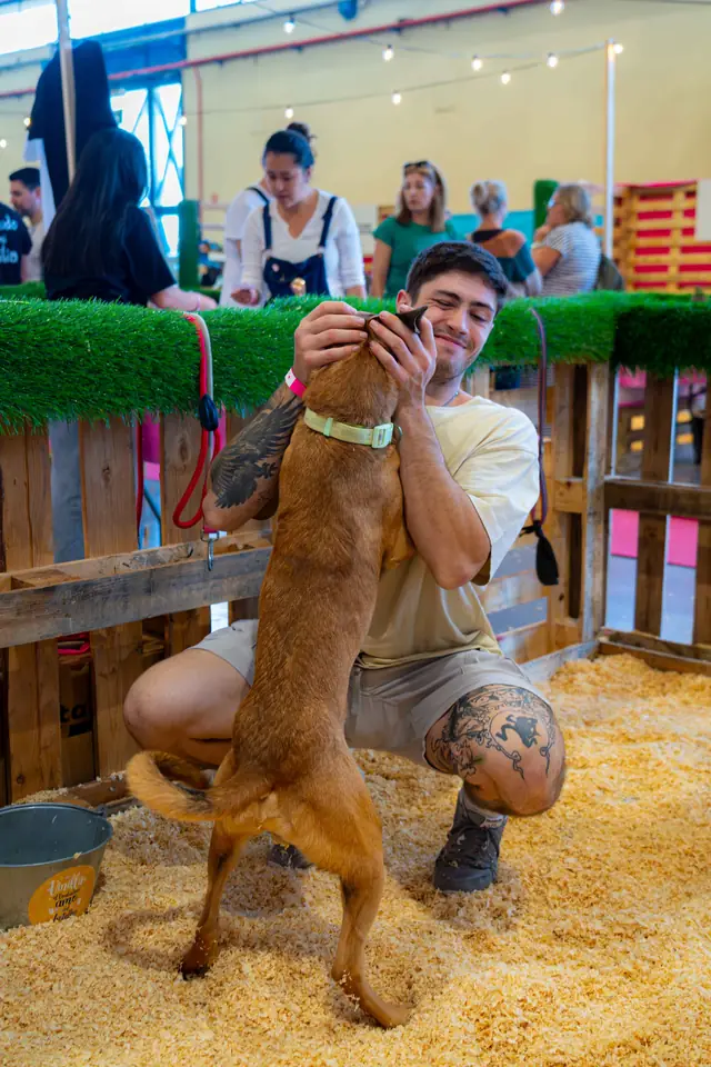 Adopta un Pana, primera edición · foto 50